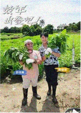 bt影视天堂青春喜剧社团招新中封面